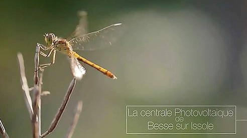 Parc de Besse sur Issole